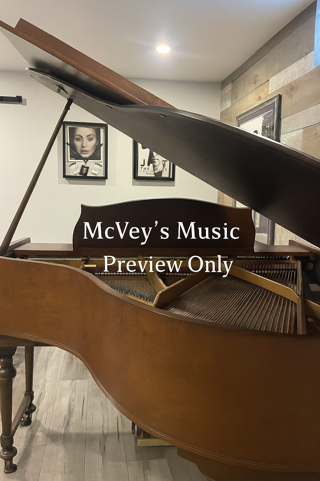 Vinyl Room Aesthetic Pack – Volume 1 (12 High-Resolution Images)